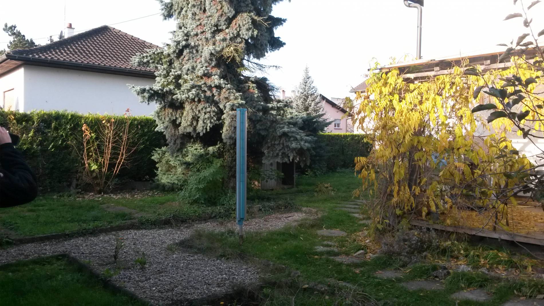&Eacute;lagage en milieu urbain : quelles sont les r&egrave;gles &agrave; respecter ? Sainte-Marie-aux-Mines