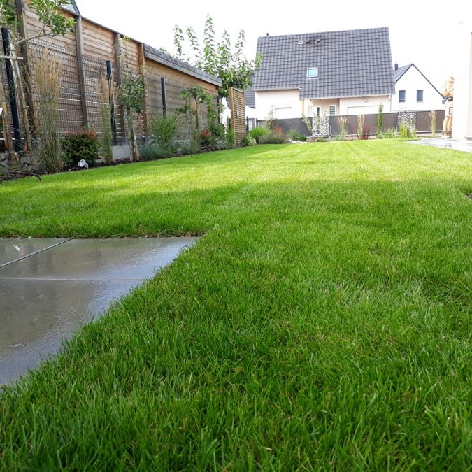 Am&eacute;nagements Paysagers Horbourg-Wihr 22