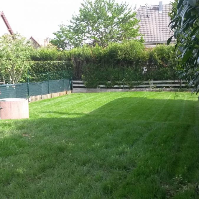 Arrosage automatique : comment r&eacute;duire votre consommation d&rsquo;eau tout en ayant un jardin luxuriant ? Munster