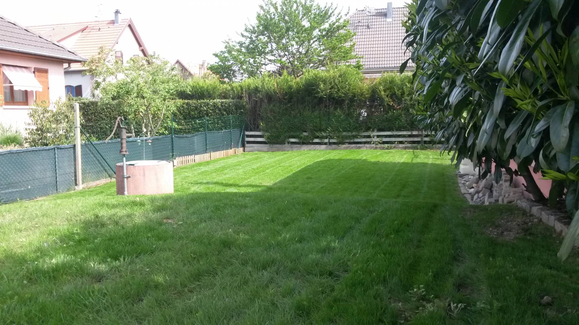 Arrosage automatique : comment r&eacute;duire votre consommation d&rsquo;eau tout en ayant un jardin luxuriant ? Munster