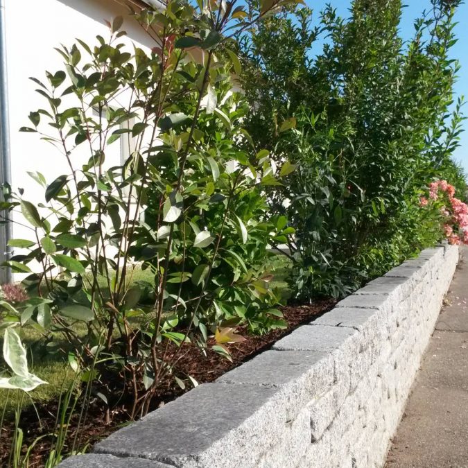 Plantation Ribeauville 4