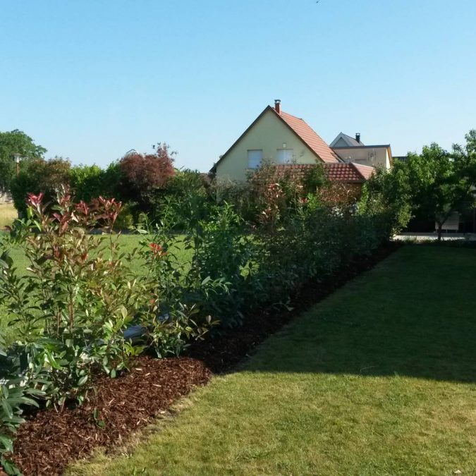 Plantation Guebwiller 3