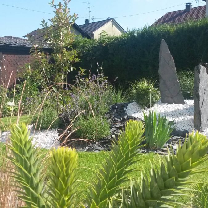 Plantation La Bresse 6