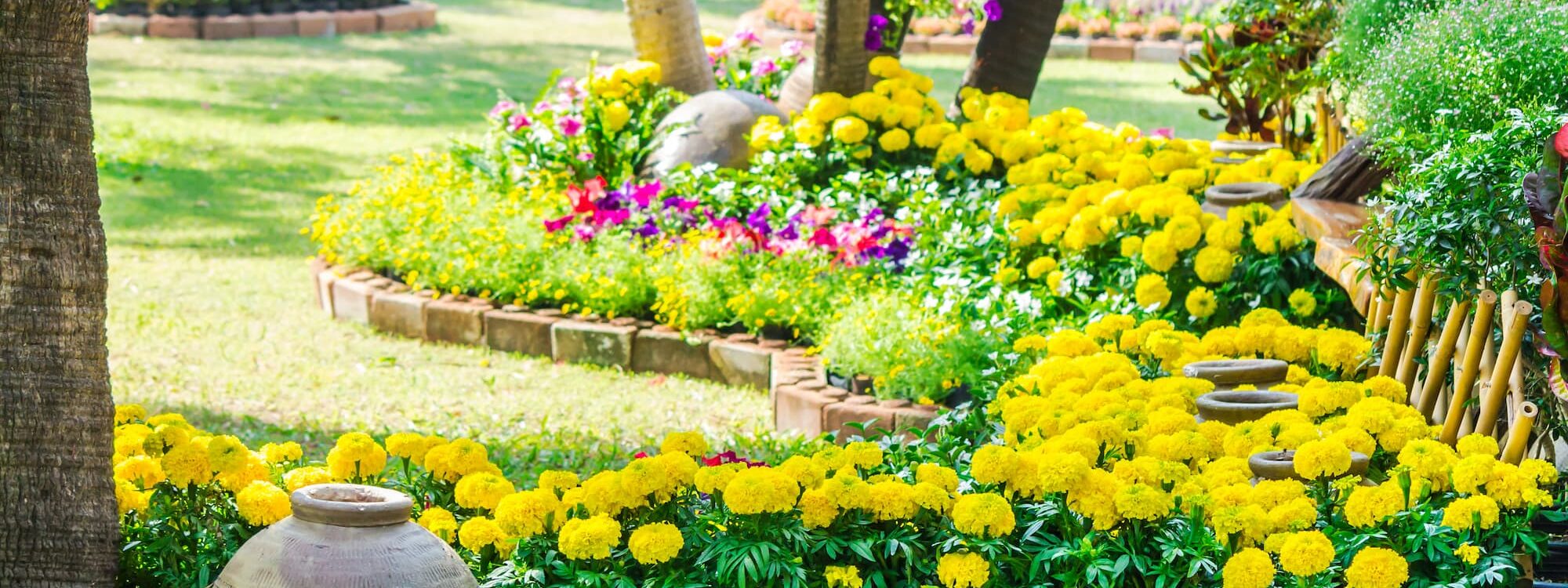 MASSIF_JARDIN 2000X750 | www.jardin-design-68.fr Quelles associations de vivaces et arbustes pour un massif séduisant toute l’année ? Wintzenheim