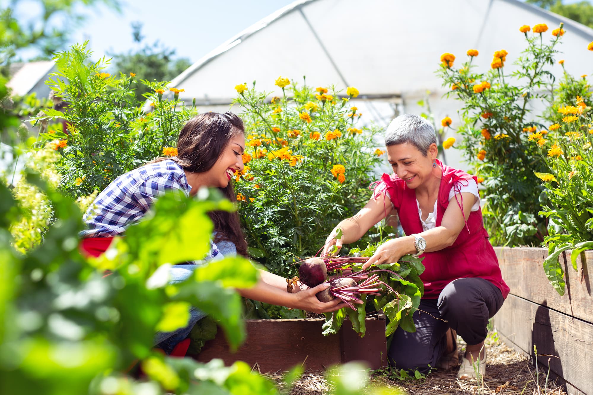 Comment concevoir un jardin comestible (foodscaping) dans un espace ornemental ? Guebwiller