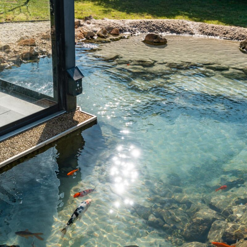CLAIR LAGON 17 800X800 | www.jardin-design-68.fr Création de lagon privé Rouffach 2