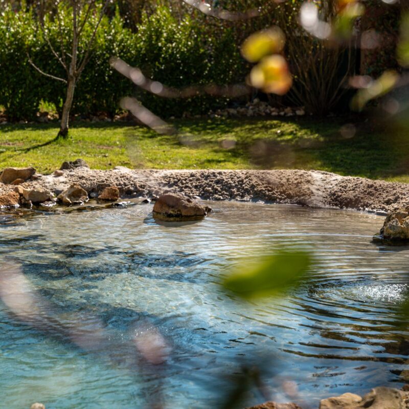 CLAIR LAGON 19 1 800X800 | www.jardin-design-68.fr Création de lagon privé Munster 3