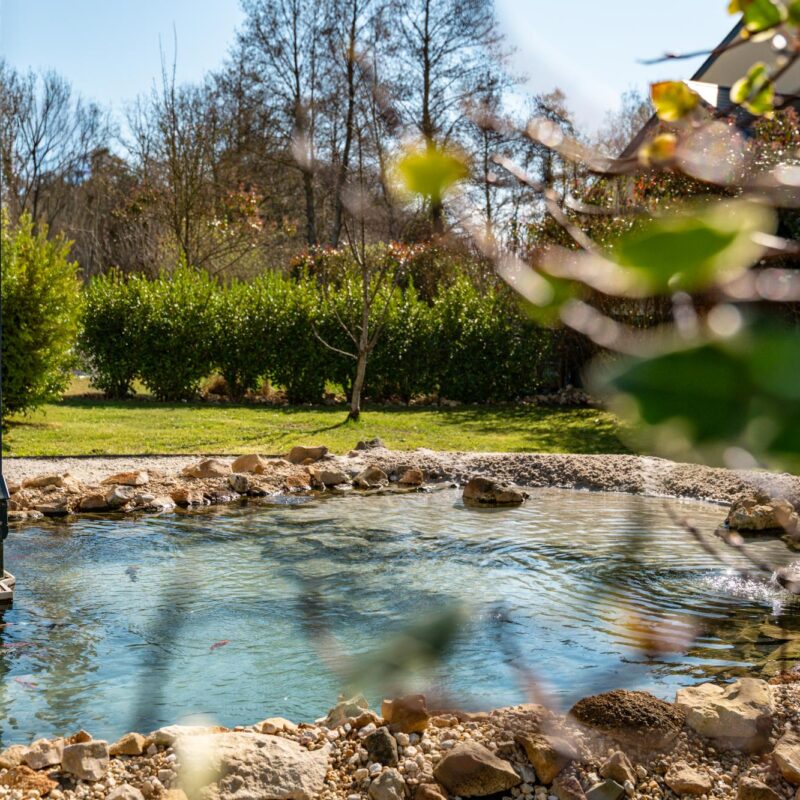 CLAIR LAGON 20 800X800 | www.jardin-design-68.fr Création de lagon privé Sainte-Marie-aux-Mines 4