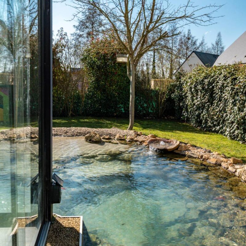 CLAIR LAGON 23 800X800 | www.jardin-design-68.fr Création de lagon privé Soultz-Haut-Rhin 5